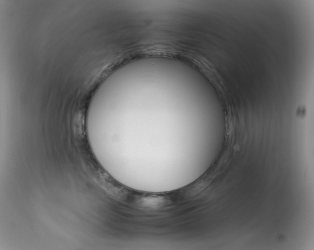 X0000113640669200909181330