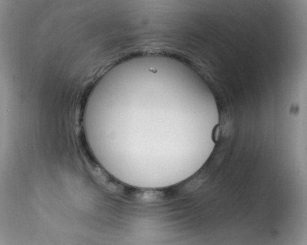 X0000113640670200909181330