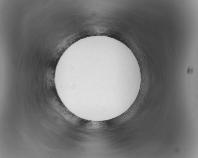 X0000113640672200909181330