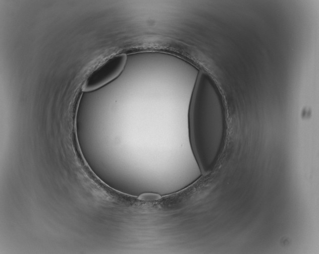 X0000113640673200909181329