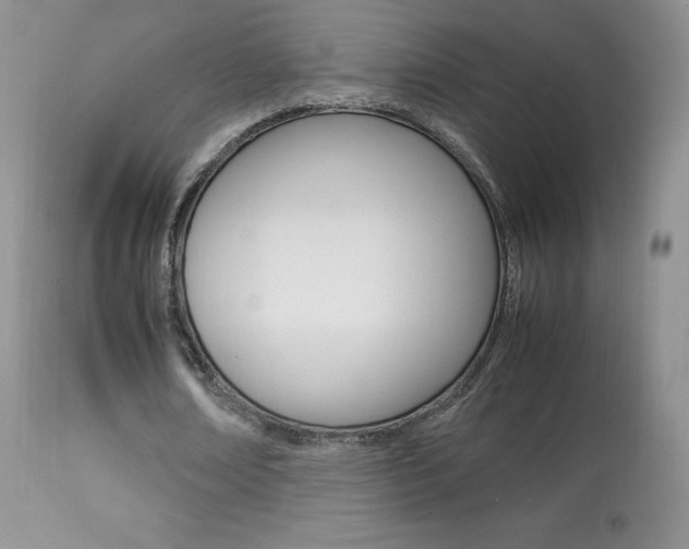 X0000113640674200909181329