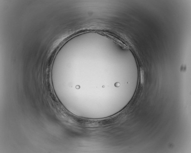 X0000113640675200909181329