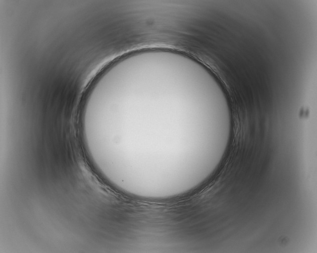 X0000113640676200909181329