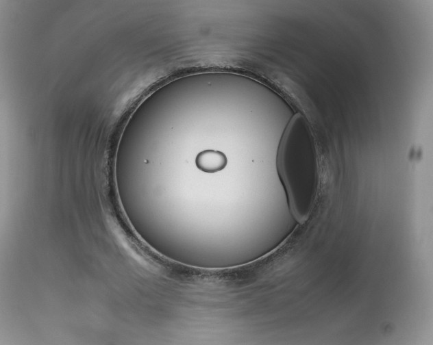 X0000113640677200909181329