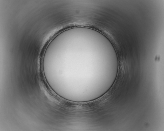 X0000113640678200909181329