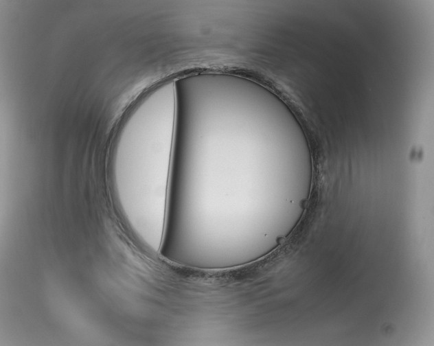 X0000113640679200909181329