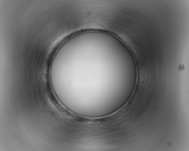 X0000113640680200909181329