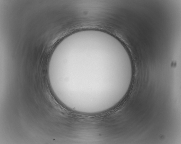 X0000113640681200909181329
