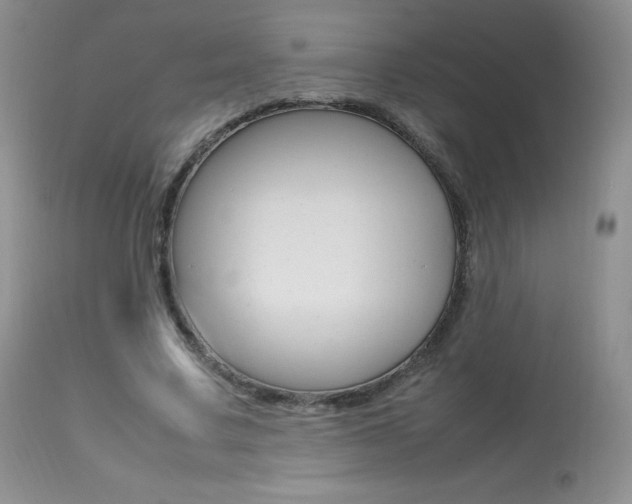 X0000113640683200909181329