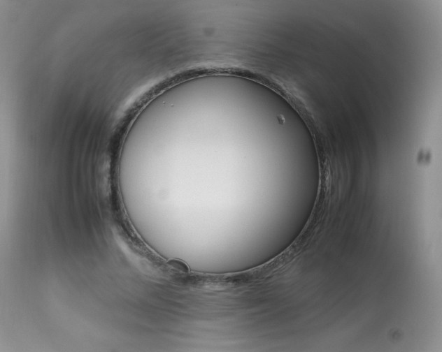 X0000113640684200909181329