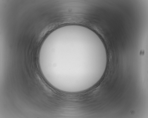 X0000113640685200909181329