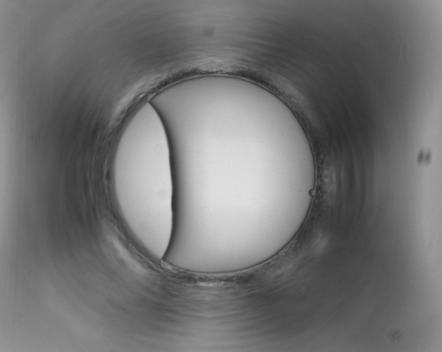 X0000113640686200909181329