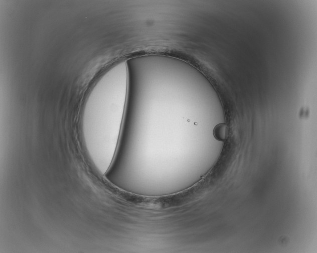 X0000113640687200909181329