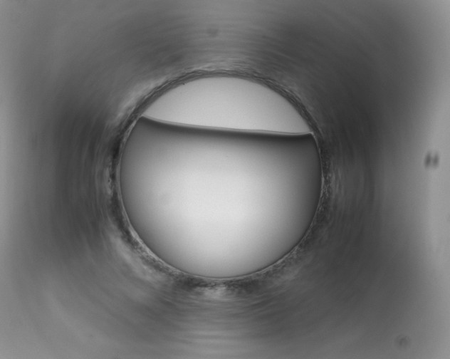 X0000113640688200909181329