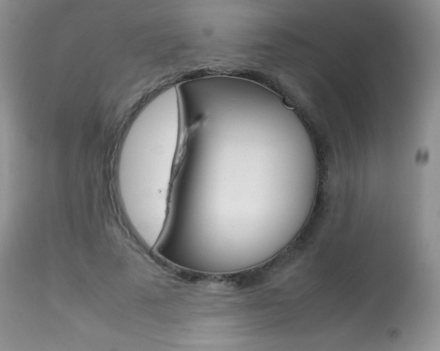 X0000113640689200909181329