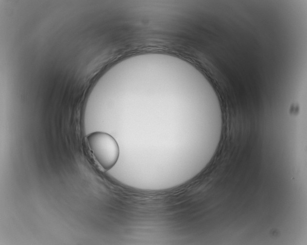 X0000113640696200909181329