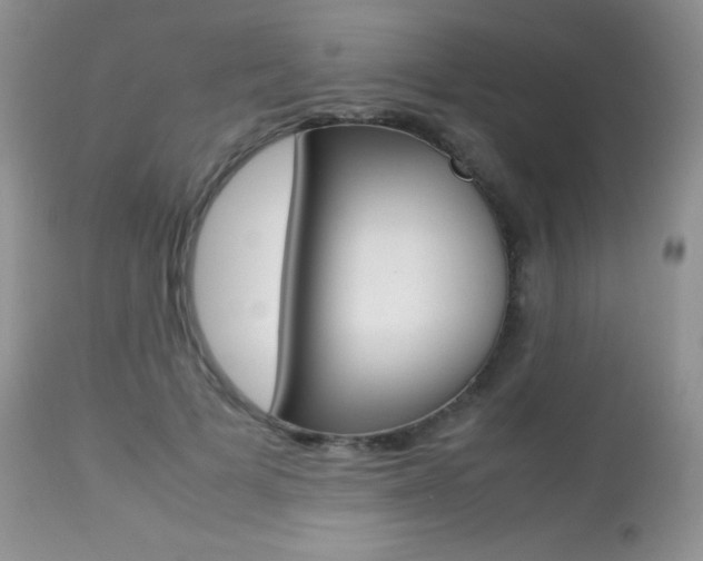X0000113640697200909181329