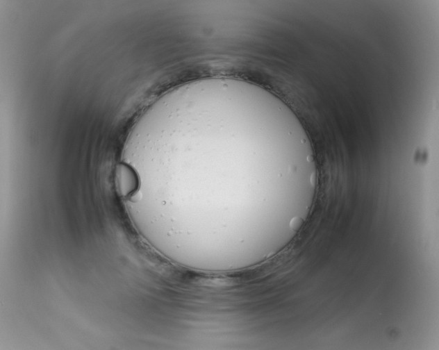 X0000113640698200909181329