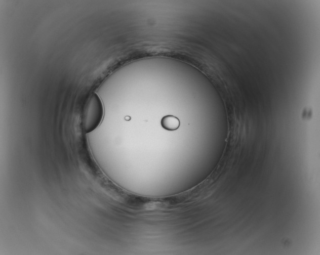 X0000113640700200909181329