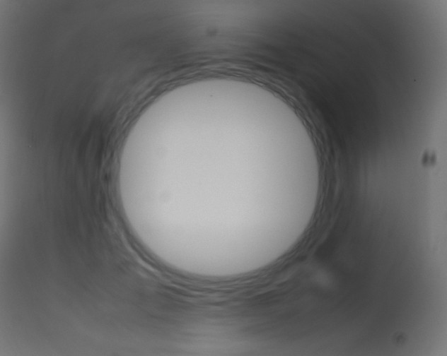 X0000113640701200909181329