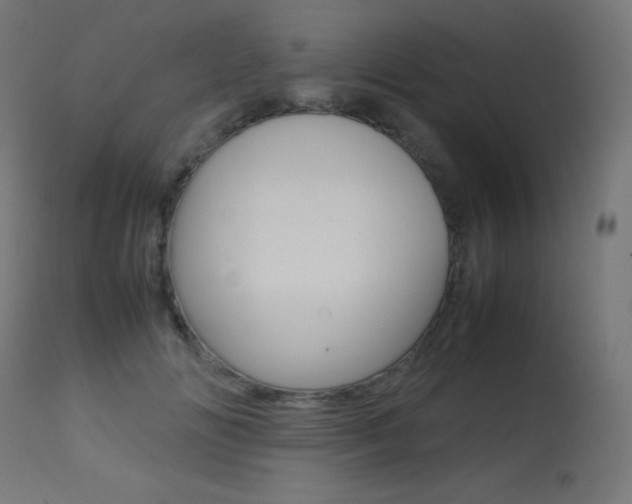 X0000113640702200909181329