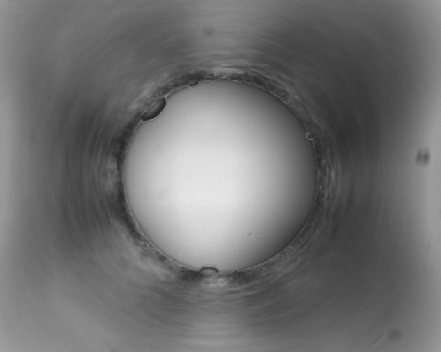 X0000113640704200909181329