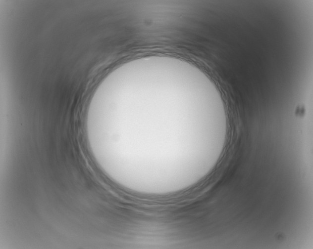 X0000113640705200909181329