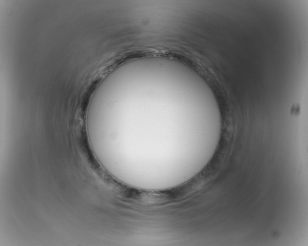 X0000113640707200909181329