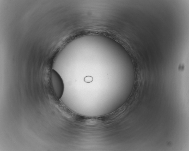 X0000113640708200909181329
