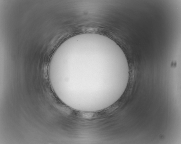X0000113640709200909181329