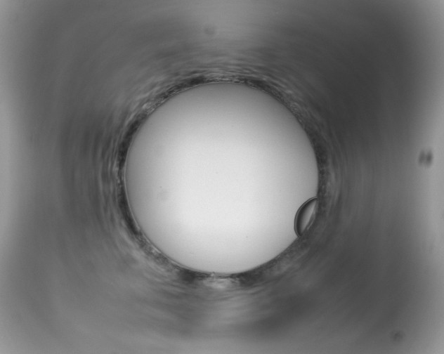 X0000113640711200909181329