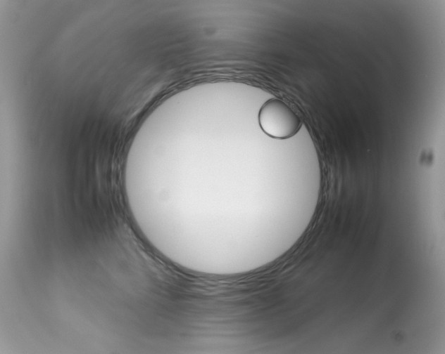 X0000113640712200909181329