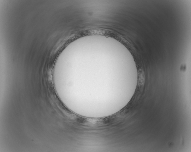 X0000113640713200909181329