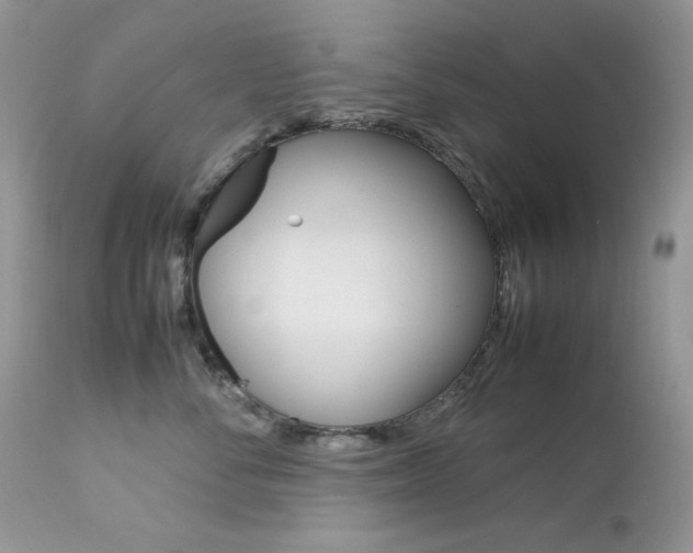 X0000113640716200909181329