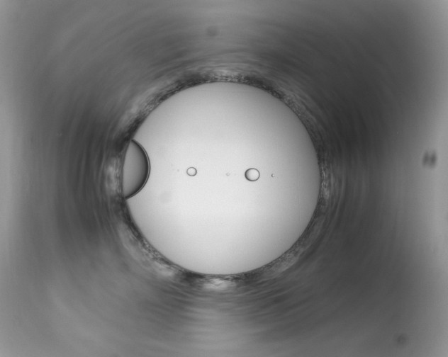 X0000113640718200909181329