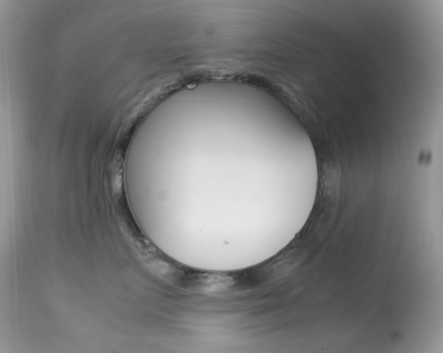 X0000113640719200909181329