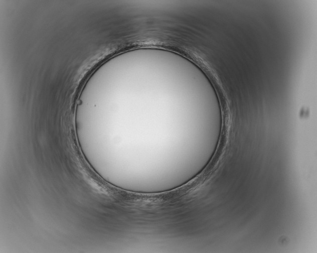 X0000113640721200909181328