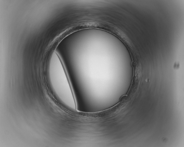 X0000113640722200909181328