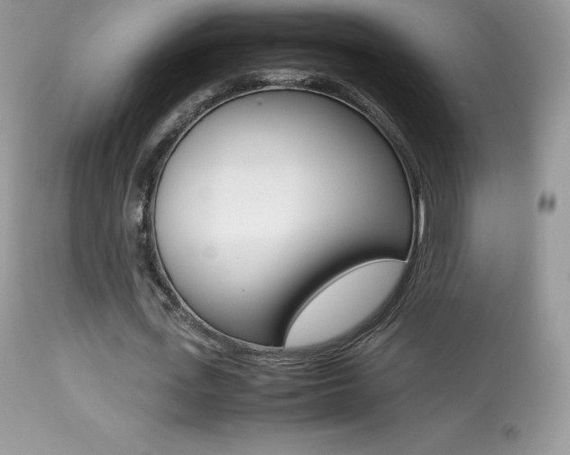 X0000113640723200909181328