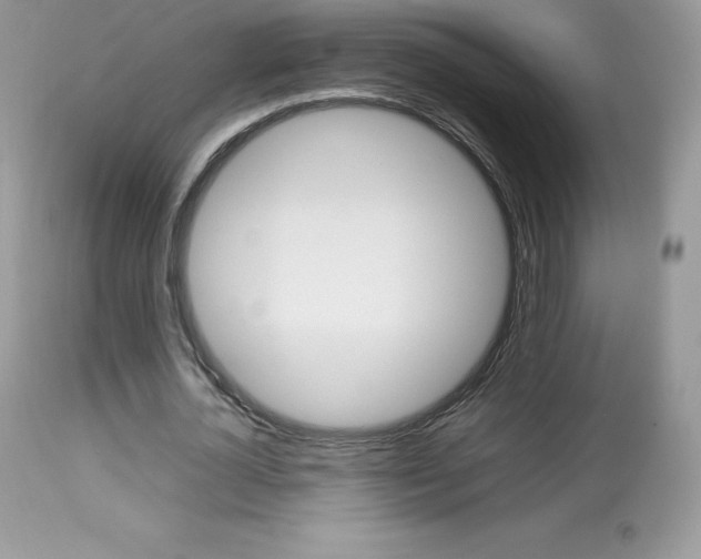X0000113640724200909181328
