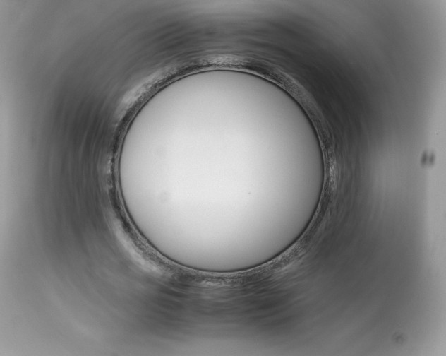 X0000113640725200909181328