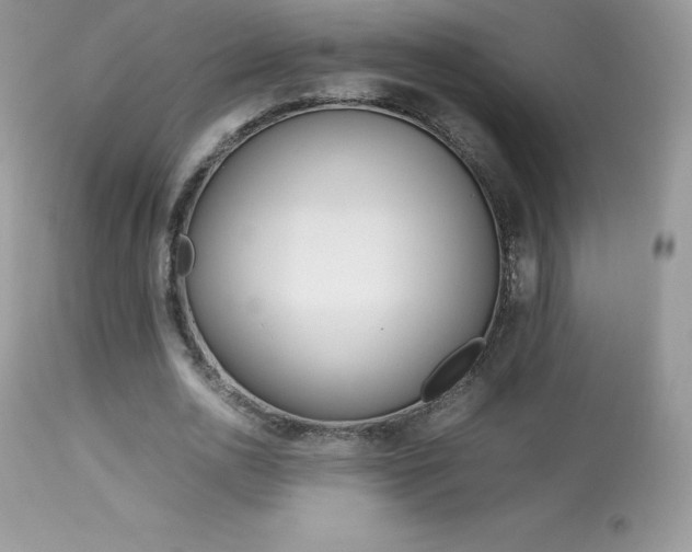 X0000113640726200909181328