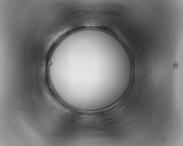 X0000113640727200909181328