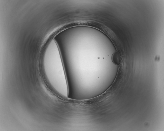X0000113640728200909181328