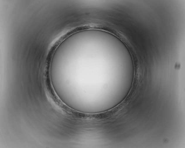 X0000113640730200909181328