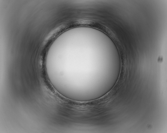 X0000113640731200909181328
