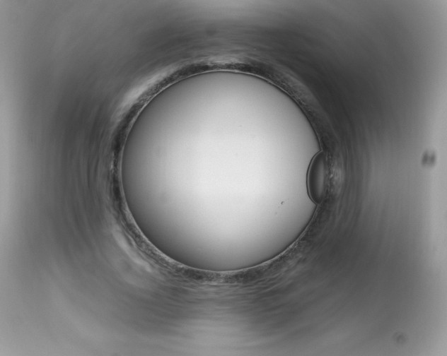 X0000113640732200909181328