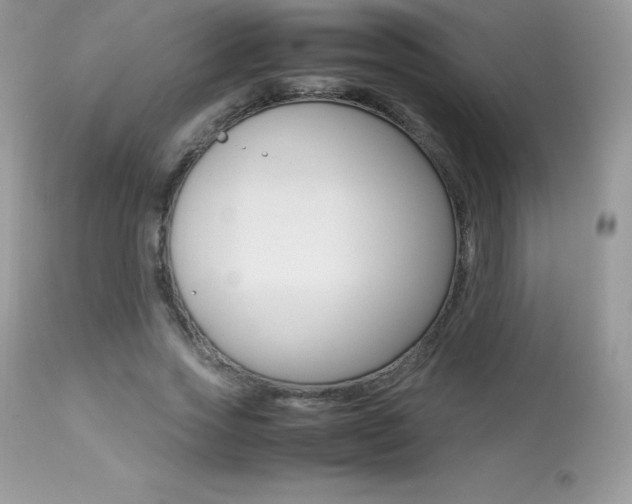 X0000113640733200909181328