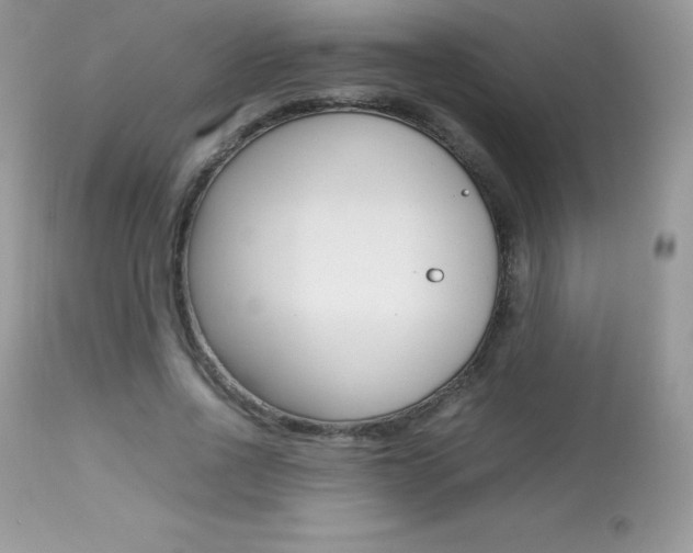 X0000113640734200909181328
