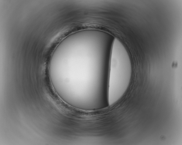 X0000113640735200909181328